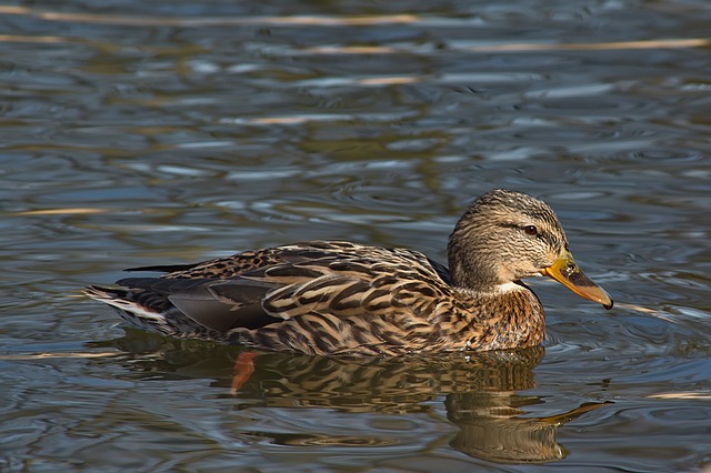 Sådan tyder du kryptiske ledetråde
