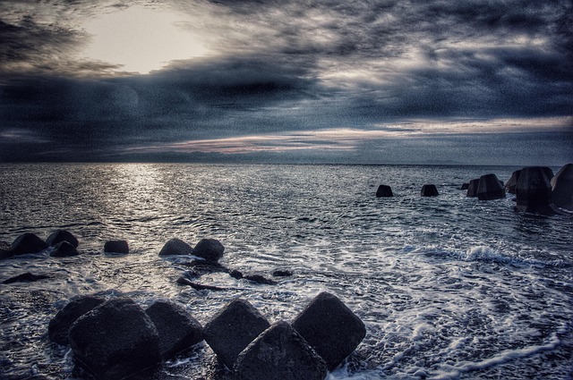 Strækning som instinkt: Evolutionens forklaring på morgenstrækket